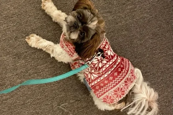 Maisie3
